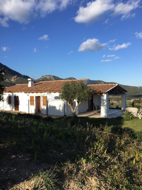 Villa Alba Esclusiva Villa Con Piscina A Sfioro E Vista Mozzafiato Sul Mare Cugnana Buitenkant foto