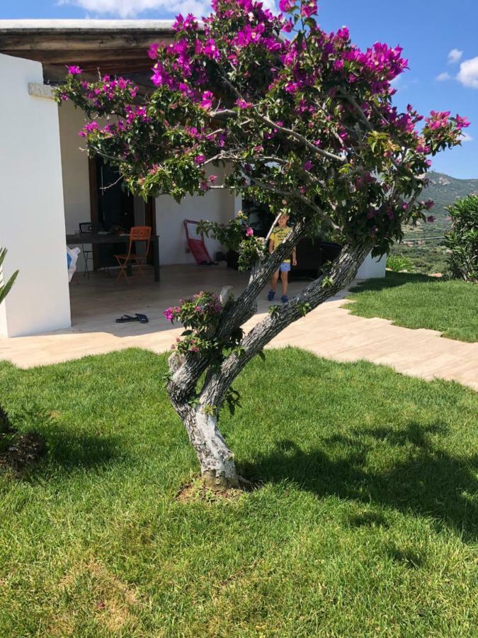 Villa Alba Esclusiva Villa Con Piscina A Sfioro E Vista Mozzafiato Sul Mare Cugnana Buitenkant foto